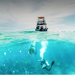 Buceo en el mar de Cozumel, México